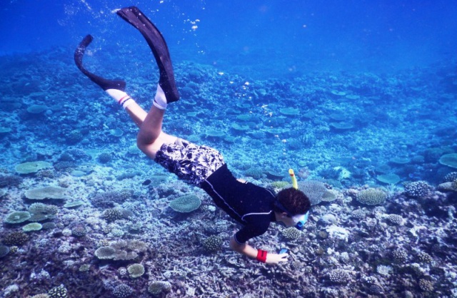 Budding eco-warriors discover Seychelles’ D’Arros island with Save Our Seas Foundation