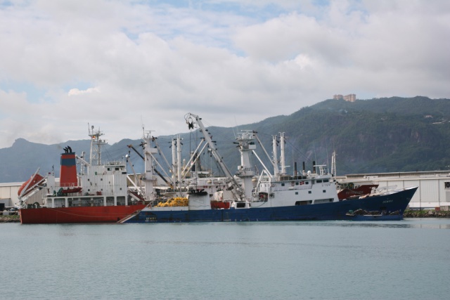 European Union allows Seychelles flagged ships to fish in Mayotte waters