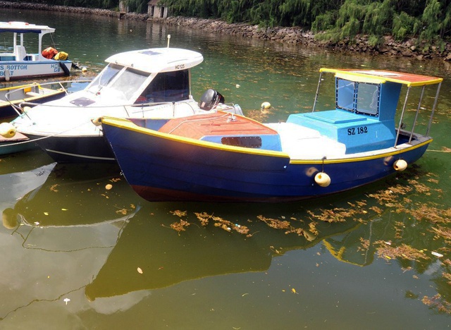 A ‘harmless’ reddish-brown coloured organism caused ‘red tide’ in the Seychelles Port of Victoria