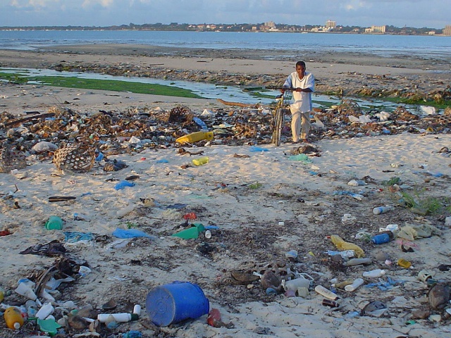 A message in a plastic bottle: United Nations Environment Assembly decries damage to marine ecosystems by plastics