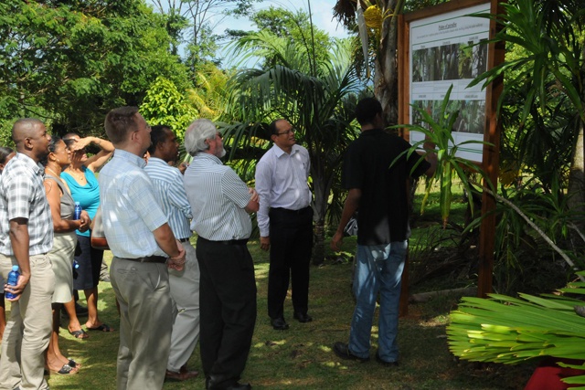 Unique forest of the Seychelles' rarest species - First Arboretum opens