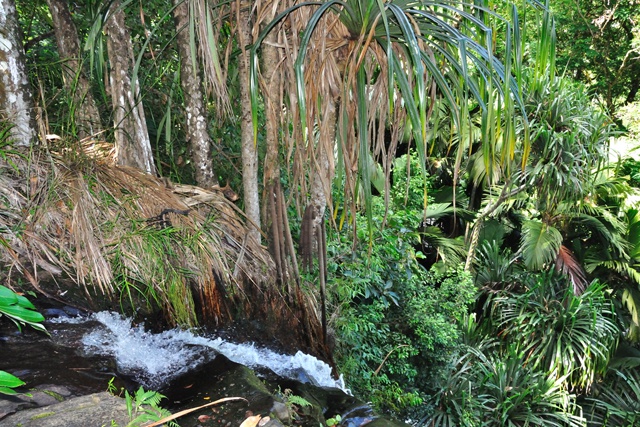 Tapping into a scarce resource – Bottled water an expanding business in Seychelles