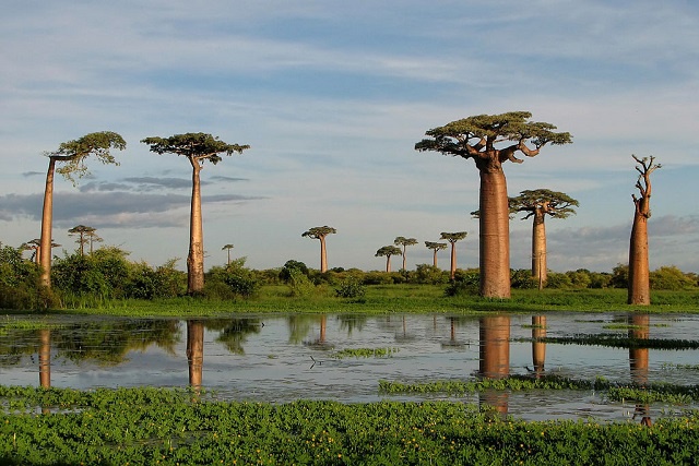 Madagascar nouvelle destination d’Air Seychelles en décembre