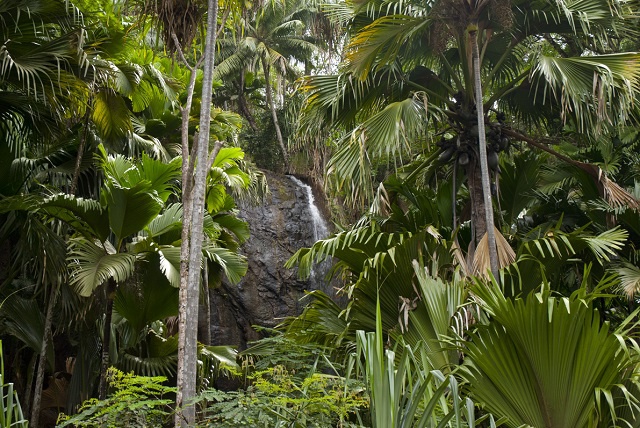 L’ONU s’engage à hauteur de 10 millions de dollars, dans la protection de l’environnement des Seychelles