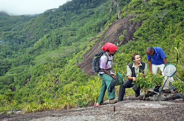 Bridging the divide between research and action – case study from Seychelles shows rare success