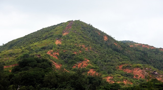 Barren no more - Seychelles NGO reaches out to make Praslin Island green again