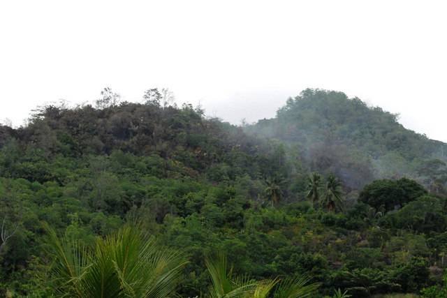 Seychelles firefighters battling forest fire at Port Launay