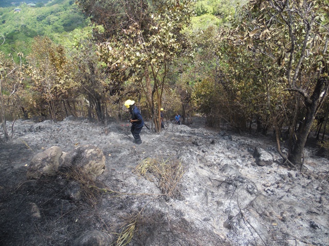 Ban on lighting fires enforced in Seychelles following weekend bushfires