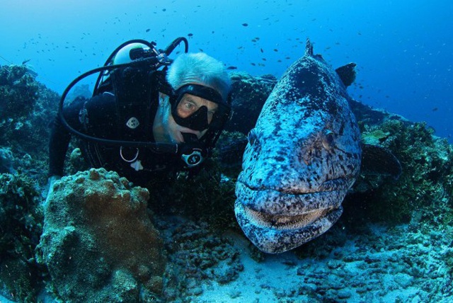 National Geographic expedition leader rates Seychelles ocean, coral health among best in the world