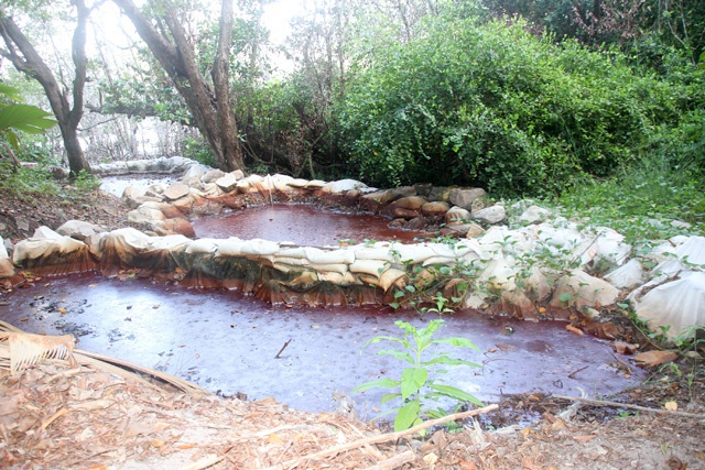 Une zone de mangrove polluée à réhabiliter à côté du complexe hôtelier « Raffles Praslin » aux Seychelles