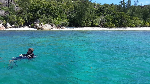 How will corals survive in 200 years?  Earthwatch expedition studies possibilities in Seychelles