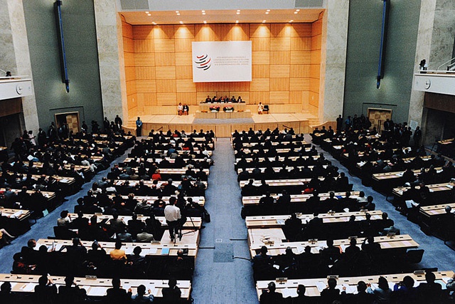 Après 20 ans de discussion : l'OMC accepte officiellement les Seychelles en tant que 161ème membre