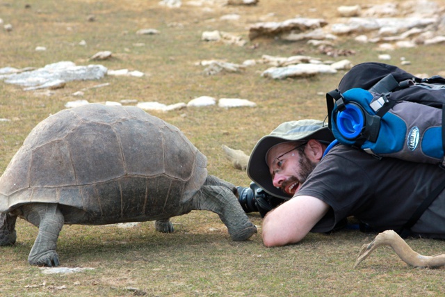 De redoutables prédatrices - si seulement elles se déplaçaient plus vite ! 8 faits que vous ne connaissiez pas à propos des tortues géantes des Seychelles