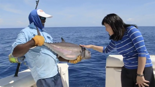 BBC Travel show documents Seychelles plans to protect its marine resources