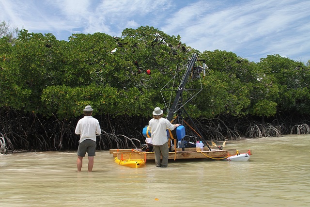 Seychelles wildlife adventure on the big screen! 'Aldabra - Once upon an island' in 3D to be premiered this November