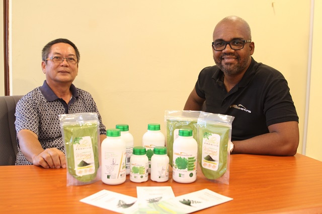 Des entrepreneurs exploitent les bienfaits miraculeux du Moringa des Seychelles !!!