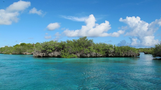 Des insulaires fiers de voir une émission filmée aux Seychelles par National Geographic