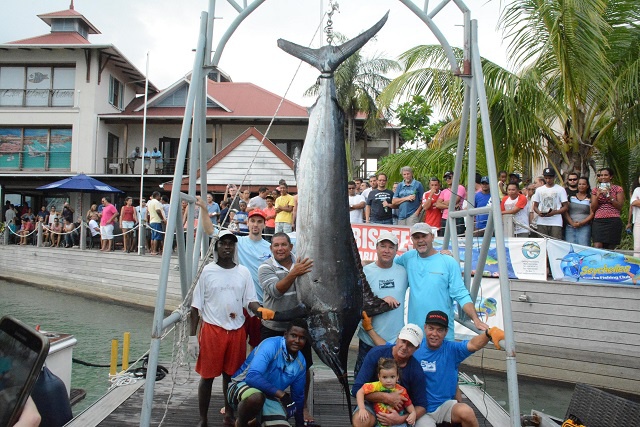 Island Star makes it three in a row, wins Seychelles Marlin tournament