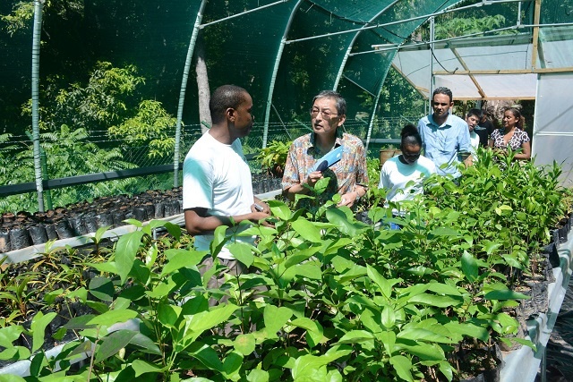 Praslin island gets Japanese grant for forest rehabilitation