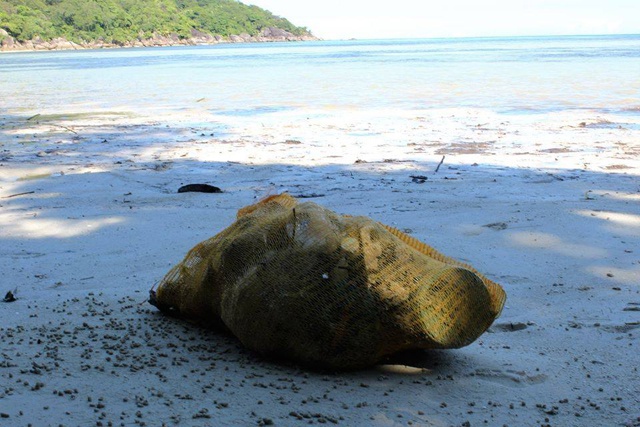 L'équipe des Seychelles nettoie des plages dans le cadre du défi écologique d’Australie