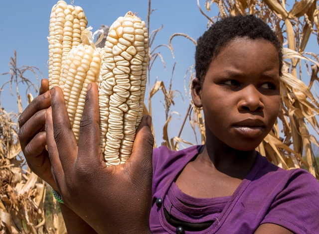 Hunger, power cuts in Zimbabwe, Zambia as lake level hits record low