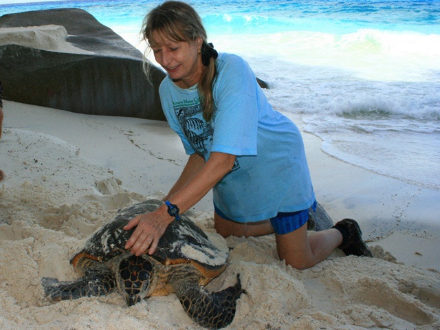 La dame aux tortues des Seychelles  a été récompensée pour toute une carrière consacrée à la conservation des tortues marines