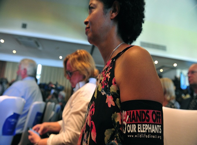 Kenya demands total ivory ban to stop elephant slaughter