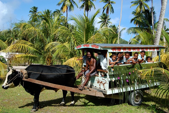 Sesel sa! Get your camera rolling to show Seychelles through the eyes of an islander