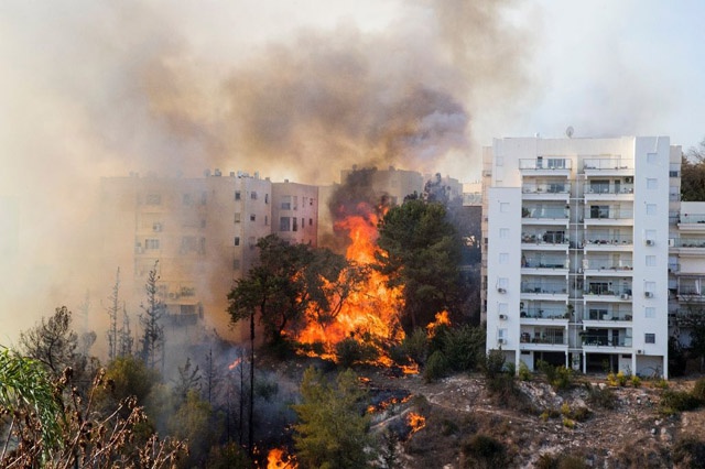 Thousands flee bushfires as Israel alleges 'arson terror'