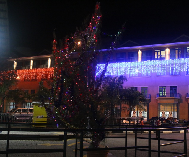 Seychelles' Christmas life: Casuarina losing artificial vs live tree battle