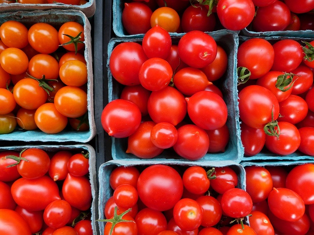 Seychelles imposes temporary ban on South African tomatoes; shortage looks likely