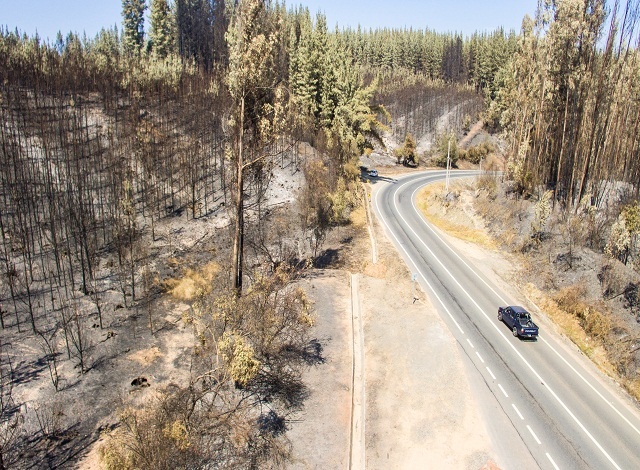 More than 40 detained in Chile for spreading forest fires