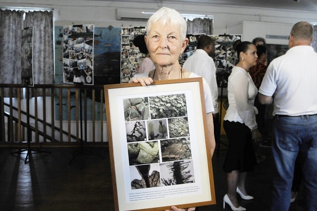 A fern named Kati: Small plant in Seychelles named after conservationist