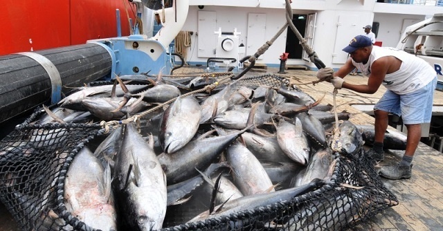 Owners of Spanish tuna purse seiners react to Seychelles’ proposed catch restrictions