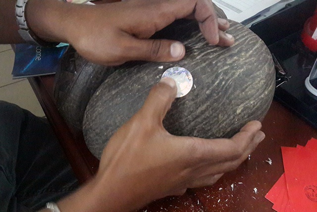 Free exchange of old coco de mer tags in Seychelles, permits ends April 28