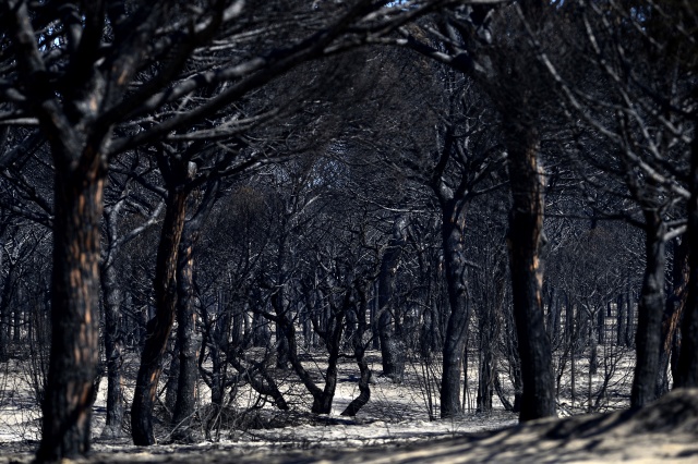 Fire licks Spanish nature reserve, 1,800 evacuated