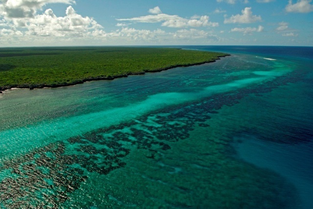 L’augmentation des températures menace les coraux du patrimoine mondial de l’atoll d’Aldabra aux Seychelles.