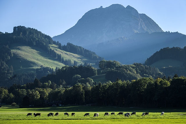 Huit disparus après un glissement de terrain dans les Alpes suisses