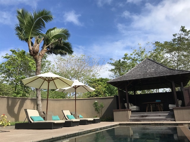 Un cocotier d’un hôtel aux Seychelles passe de deux ou trois têtes.