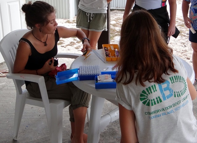 Boot camp in conservation offered on island in Seychelles