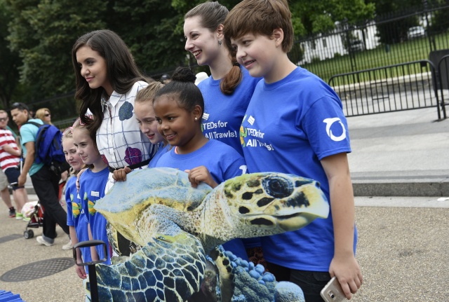 Trump admin sued over stalling to protect sea turtles