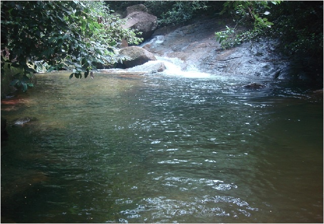 New dams, exploitation of groundwater to increase potable water in Seychelles