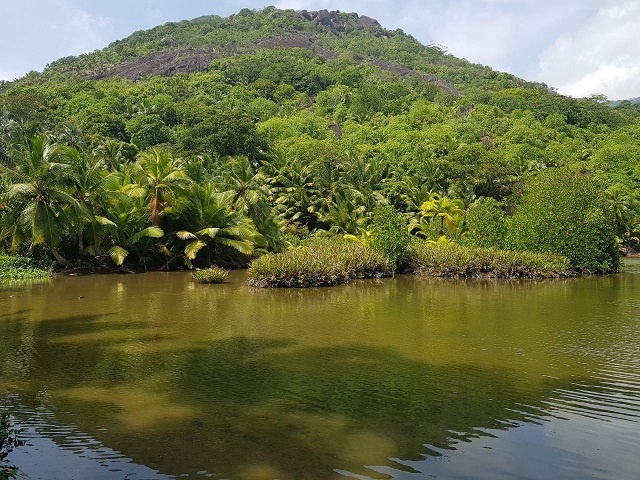 10 amazing things that set Silhouette Island apart from other island resorts