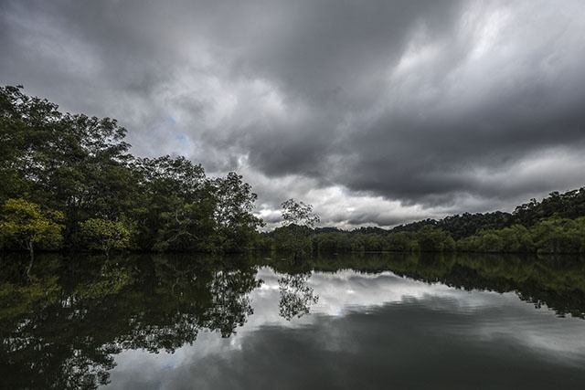 Le monde évalue l'ampleur de la "crise" de la biodiversité