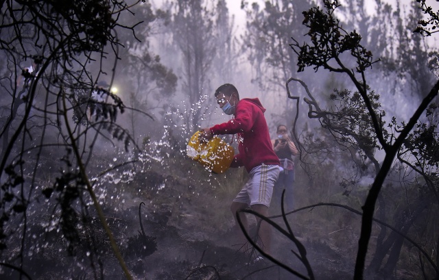 Global biodiversity 'crisis' to be assessed at major summit