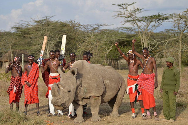 Kenya: mort du dernier rhinocéros blanc du Nord mâle