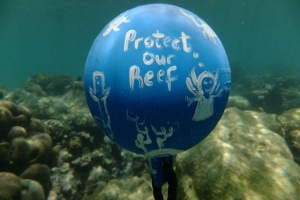 Seychelles to assist Mauritius’ Rodrigues Island with sustainable coral management