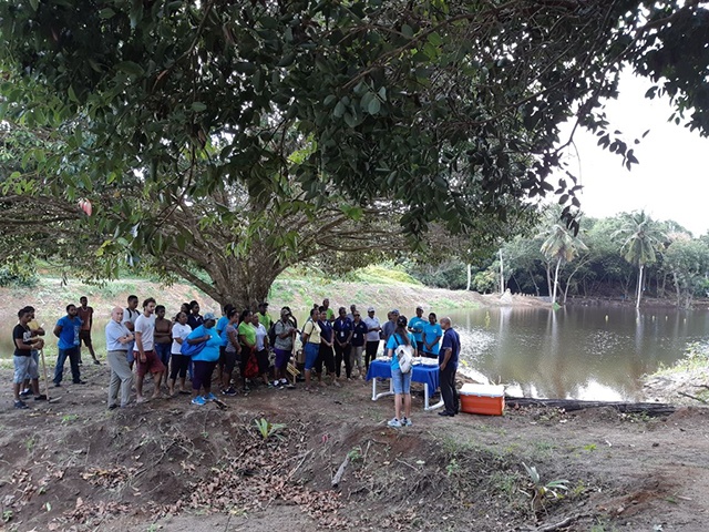 Tree-planting project in Seychelles seeks to preserve watersheds, catchment areas