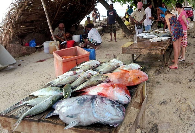 La consommation de poisson dominerait les effets négatifs du mercure, selon un scientifique seychellois