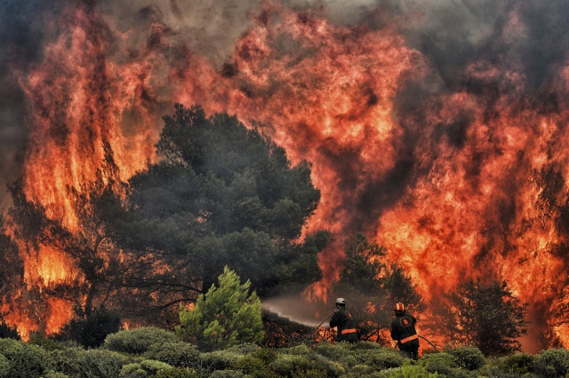 Greek wildfires toll rises to 79 amid search for survivors